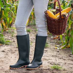 Best Rubber Boots for Farm Work